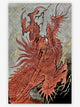 The Dragon Project - Tattoo Life Books