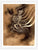 The Dragon Project - Tattoo Life Books