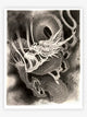 The Dragon Project - Tattoo Life Books
