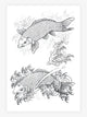ICHIBAY - Lines and Drawings - Tattoo Life Books