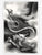 The Dragon Project - Tattoo Life Books