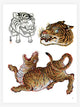ICHIBAY - Lines and Drawings - Tattoo Life Books