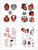 SHIBUYA HORIKEN - Japanese Handcrafted Ink - Tattoo Life Books