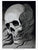ECHOES OF TIME - 25 Years of Tattoo Art - Tattoo Life Books