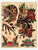 ECHOES OF TIME - 25 Years of Tattoo Art - Tattoo Life Books